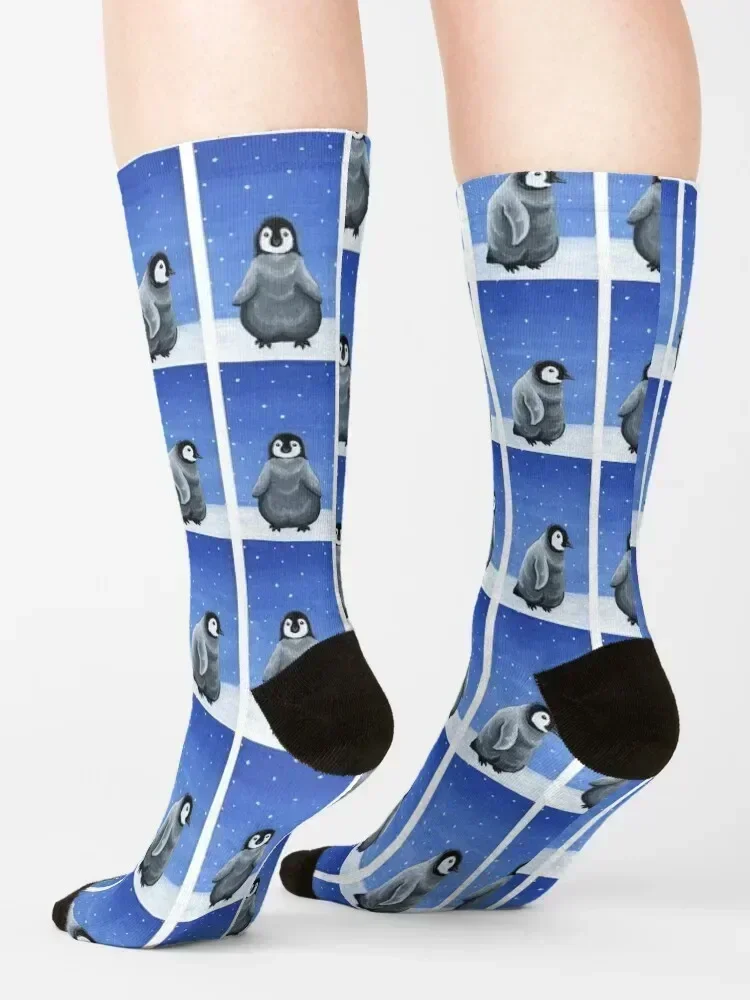 Emperor Penguin Chicks Socks essential men cotton high quality gifts set Socks Men Women's
