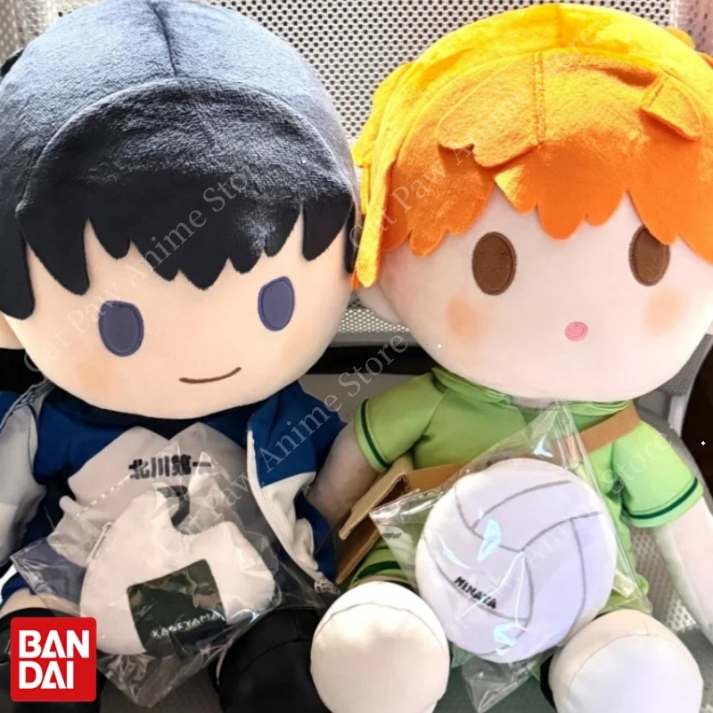 Bandai Namco POTEPOTTE Haikyuu Anime muñeco de peluche juguete de peluche suave lindo personaje figura colección regalo para niñas y Fans