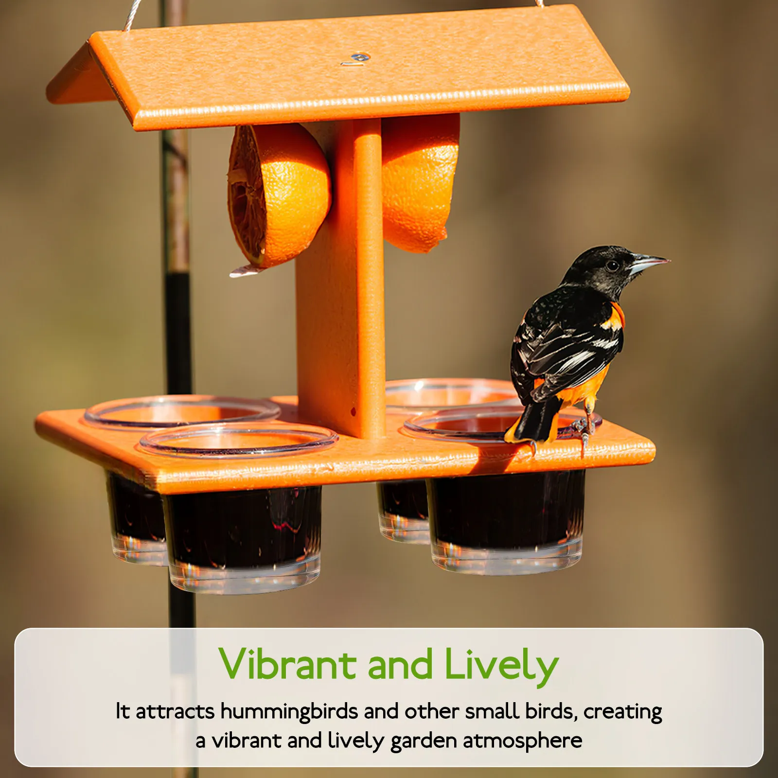 

Stylish Glass Bird Feeder Cup Outdoor Hanging Feeder for Balcony Garden Hummingbirds Wild Birds Elegant Decorative Feeding