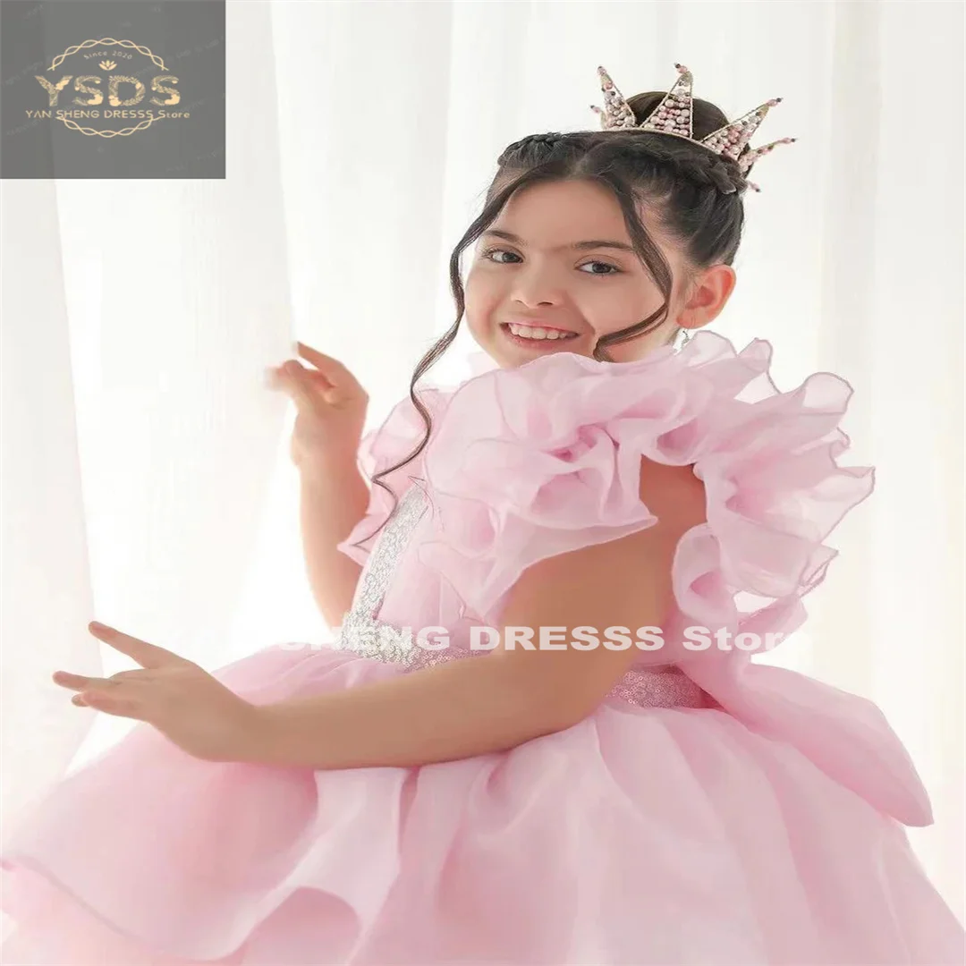 

Elegant Sparkle Puffy Tulle Beaded Sequins Girls Birthday Party Flower Girl Dress For Wedding Piano Performance Ball Gown