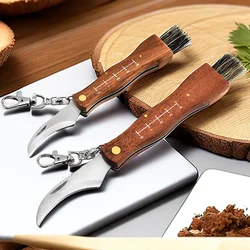 Mini coltello per funghi Manico in legno in acciaio inossidabile Coltello affilato per raccolta Coltello multifunzionale in acciaio inossidabile duro per funghi