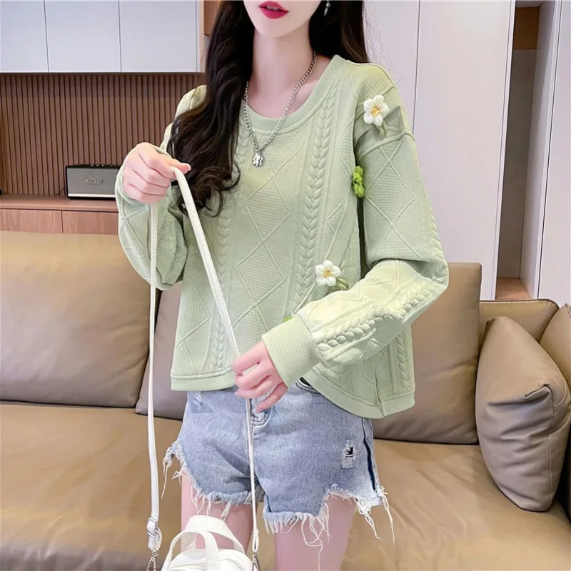 Short Sweatshirt for Women in Spring and Autumn New Design Loose Large Size Slimming Versatile Round Neck Pullover Top Trendy