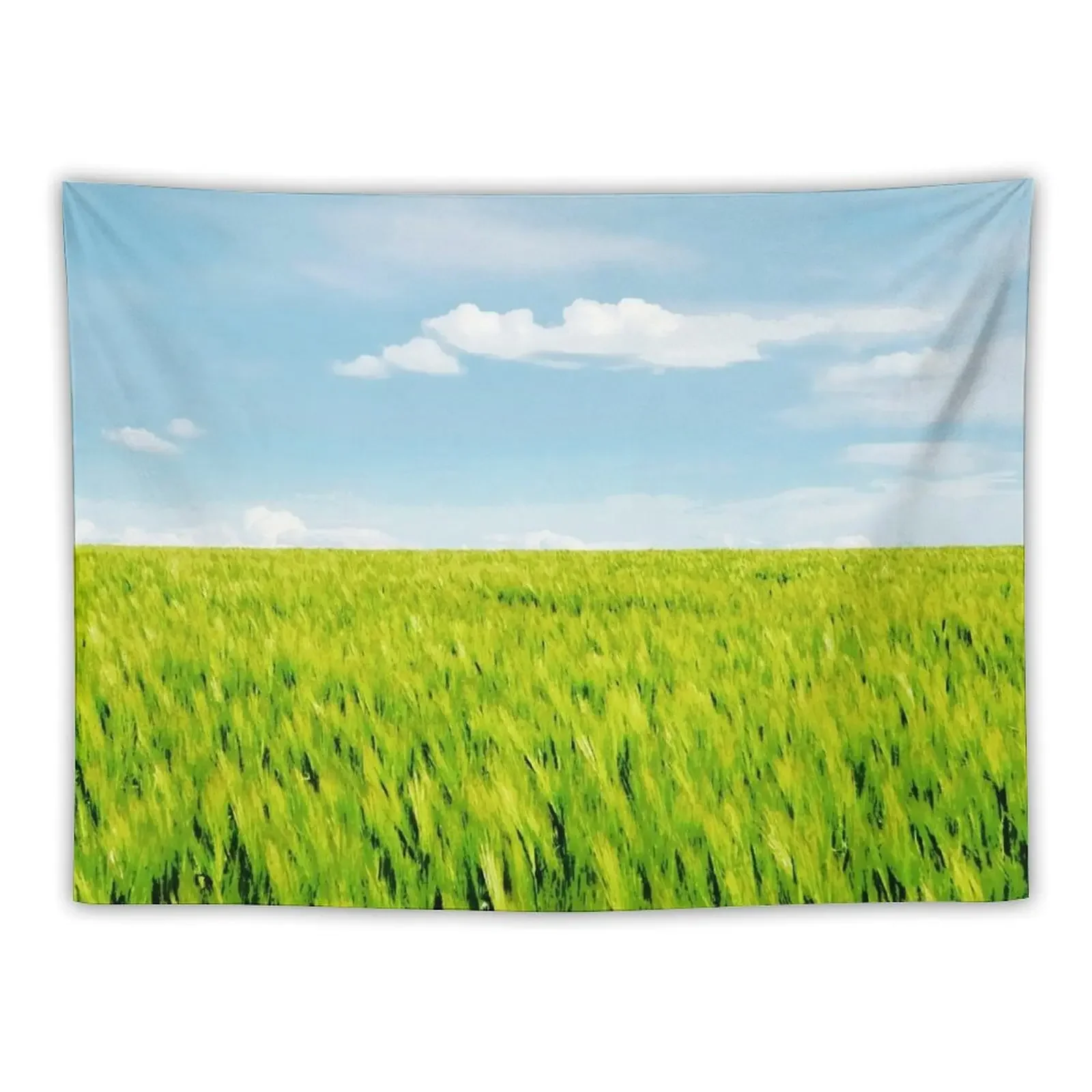 

Grass Field Tapestry Carpet On The Wall Room Design Tapestry