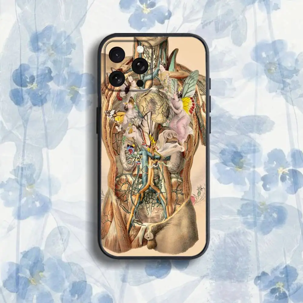 인체 해부학 의료용 아이폰 케이스 (아이폰 17, 16, 15, 14, 13, 12, 프로, 맥스, 플러스, E, SE4, 에어, 미니) 블랙 소프트 박스