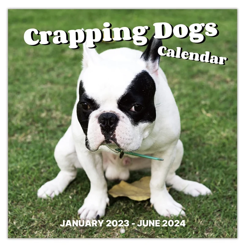 1 Piece 2024 Wall Calendar-2024 Calendar 12 Monthly Pooping Dogs Calendar 2024 Funny Gag Gifts