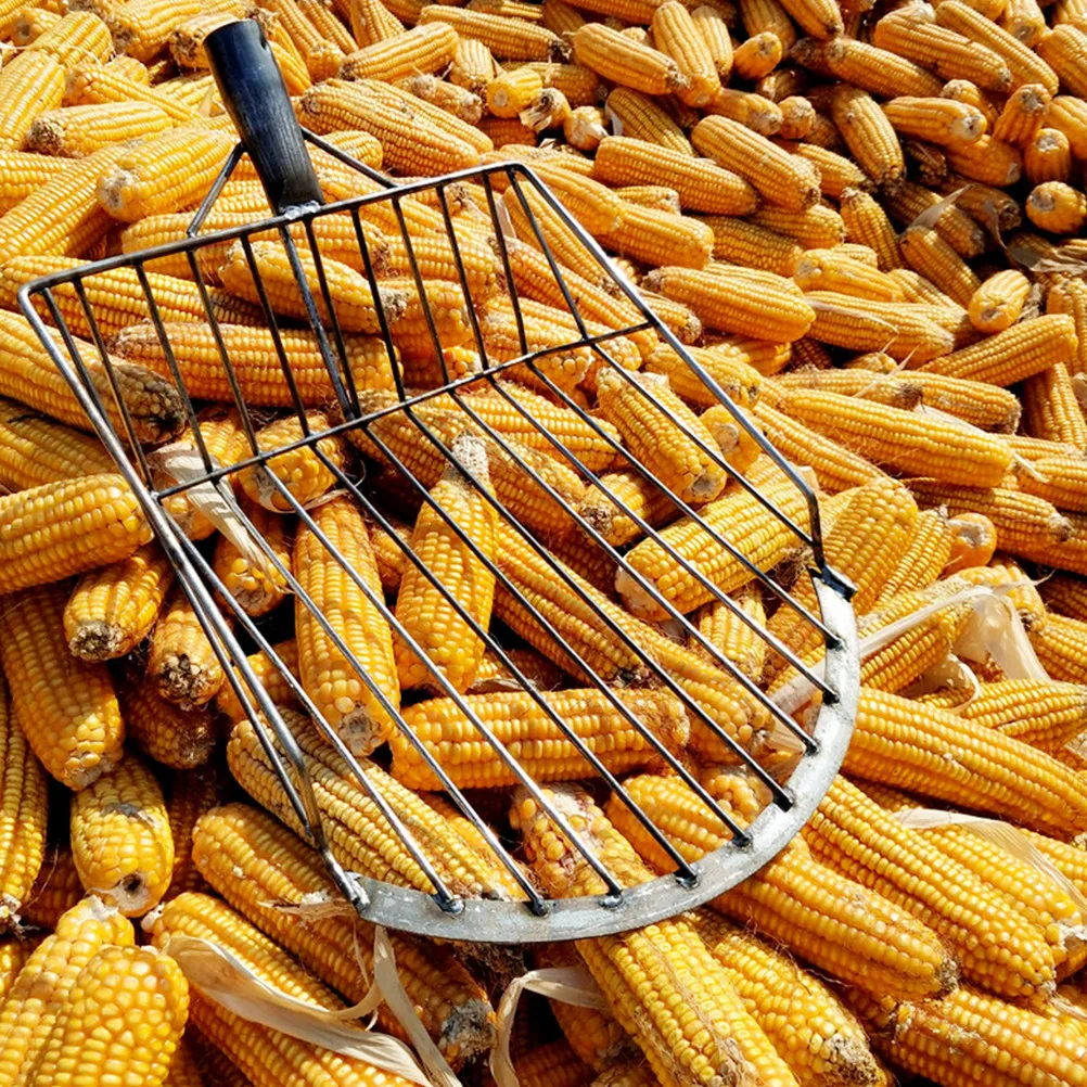 1pcs-farm-oriented-corn-shovel-large-lightweight-multifunctional-iron-spade-efficient-maize-shovel-multifunctional-spade