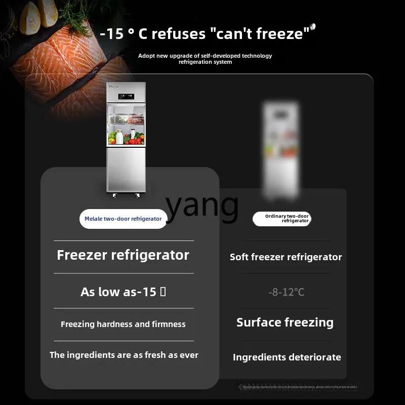 CX Commercial Refrigerated Frozen Double Door 2 Door Kitchen Large Capacity Six Door Freezer