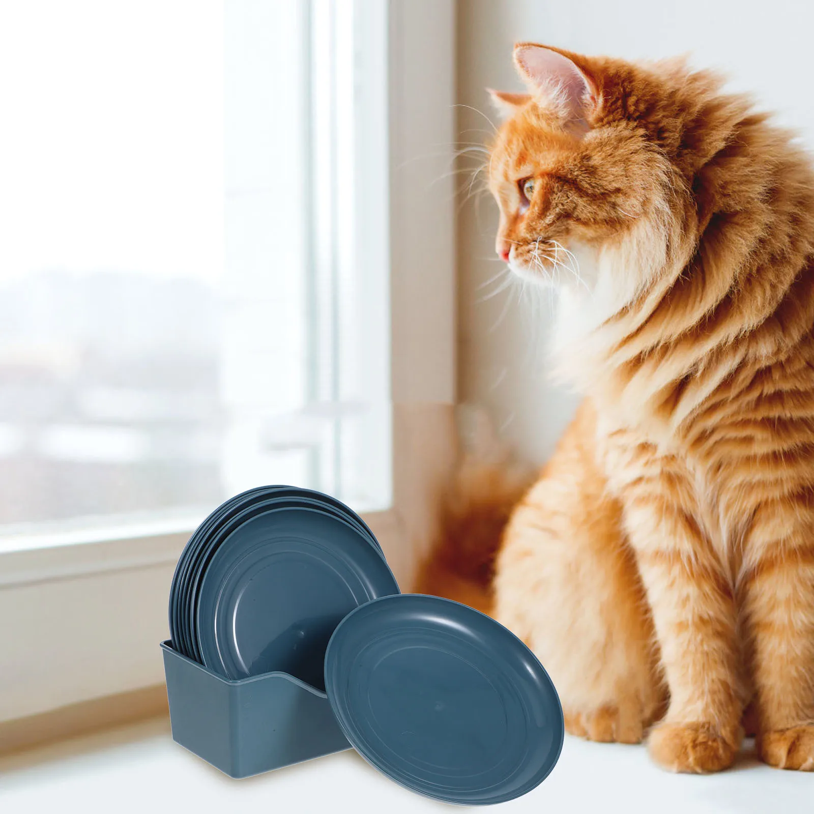 

8pcs Cat Bowls for Kittens Short Legs Cats Food Snack Dishes Blue Color Stable Base Square Plates Pet Supplies