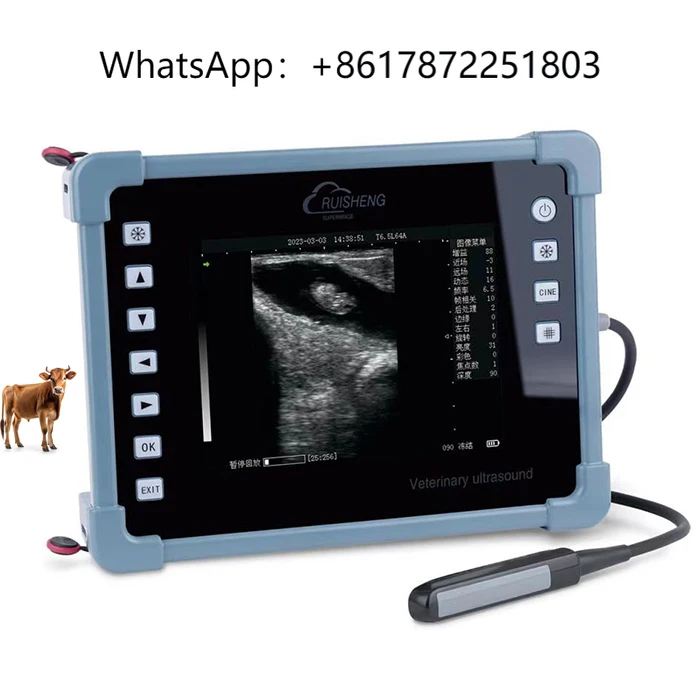 

Veterinary Portable Livestock Ultrasound Machine Vet Ultrasound Scanner Rectal Linear Probe for Cattle