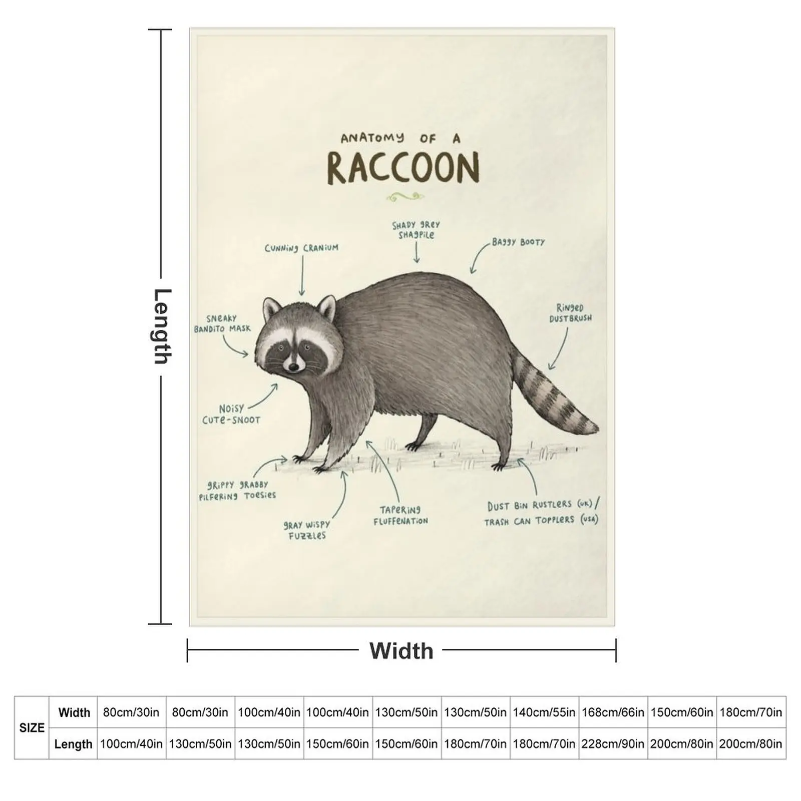 Anatomy of a Raccoon Throw Blanket Shaggy Quilt heavy to sleep for babies Blankets Sofas Of Decoration Luxury Brand Blankets