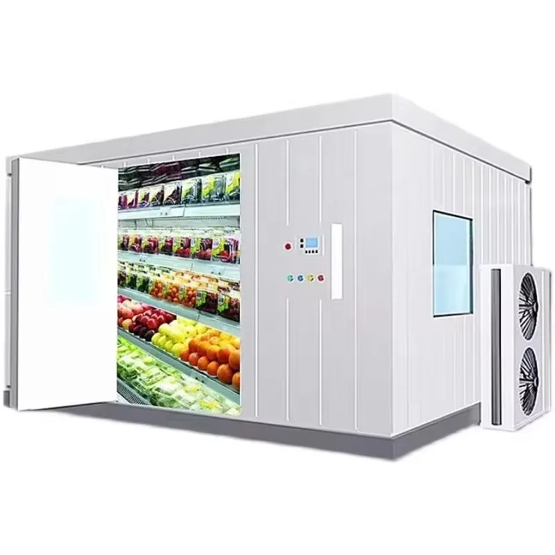 Walk-in Freezer Industrial Cool Room Cold Storage Plant Unit for Food Milk Seafood Meat Refrigeration Storage Customized
