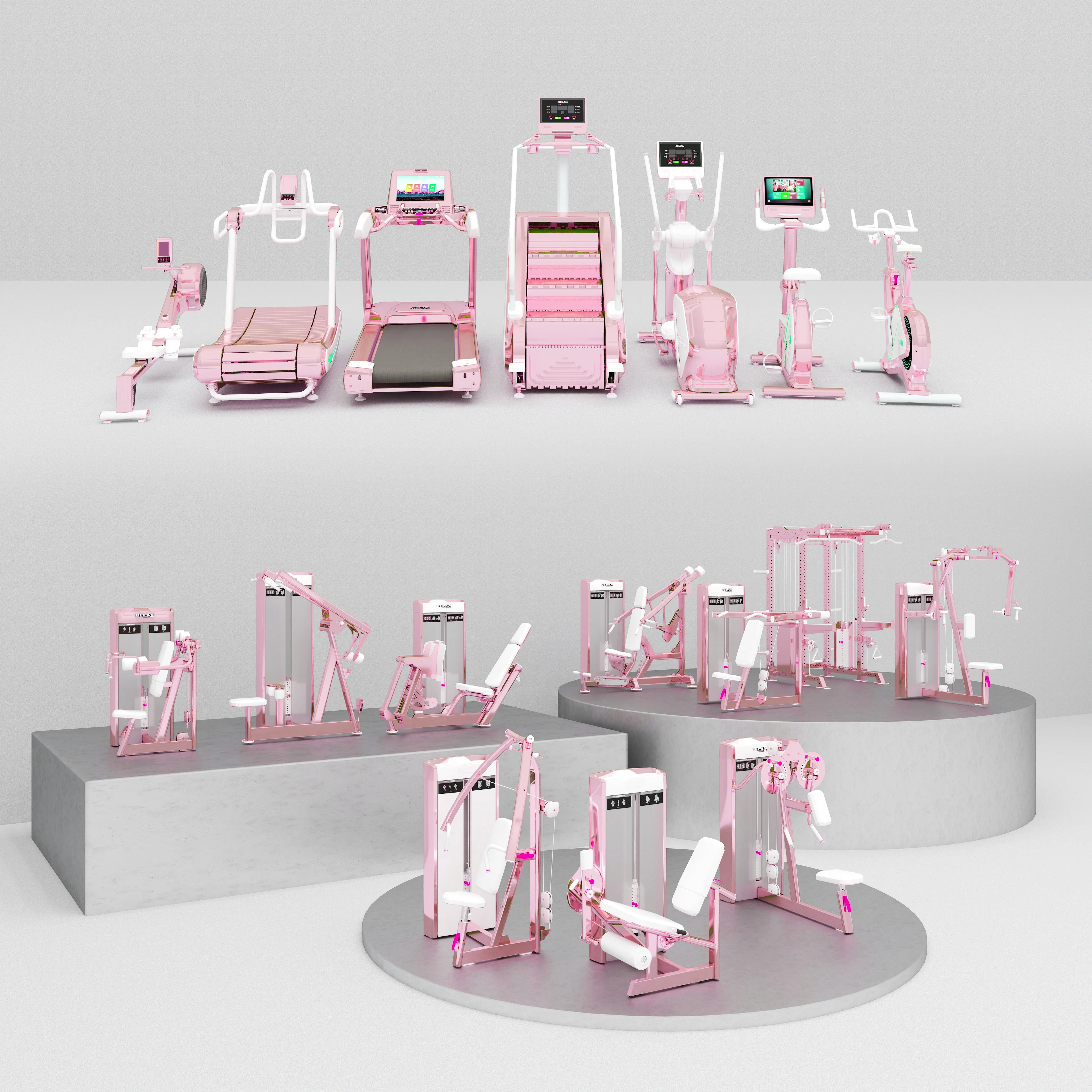 

Women-Only Gym Supporting Service Strength Equipment & Cardio Training Machine for Ladies Fitness Club, Personal Training Studio