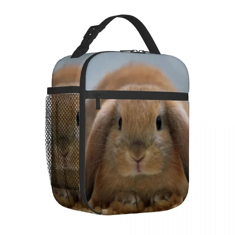 rabbit animal  Lunch Bag Portable Aluminum Foil Thickened Insulated Lunch-Bag Gift Waterproof Lunchs Tote Bags