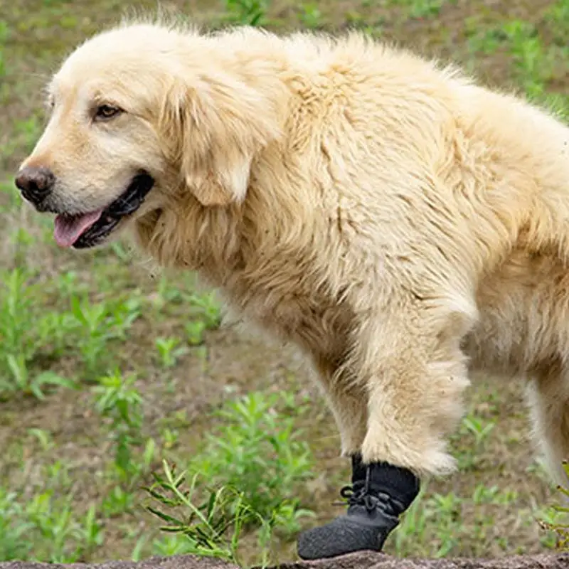 Dog Shoes 2 Pairs Anti-slip Dog Socks With Adjustable Straps Strong Grips Traction Control For Indoor Hardwood Floor Paw