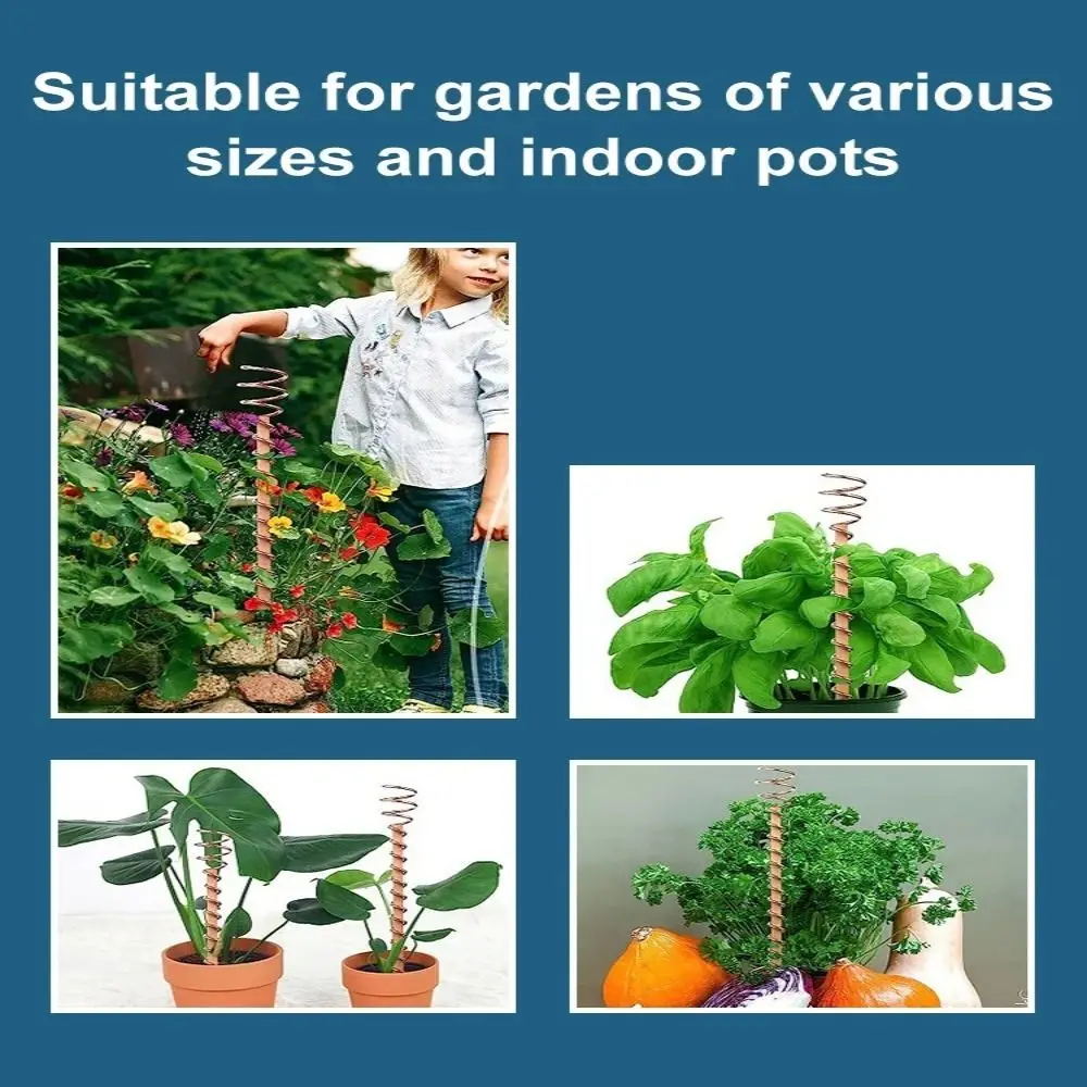 Estacas para plantas de electrocultivo de cobre para bonsái, bobina de alambre, varilla de madera para jardinería, antenas de bobina de cobre, varilla de fijación para bonsái, flor