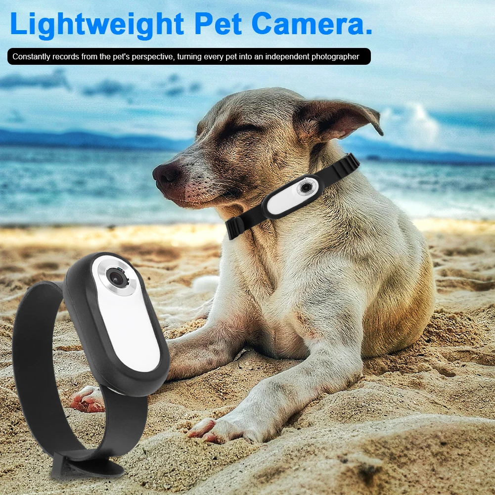 Pet Action Camera Small Pet Collar Camera 0.96in Screen Lightweight Full HD Rechargeable with Video Records for Cat for Outdoor