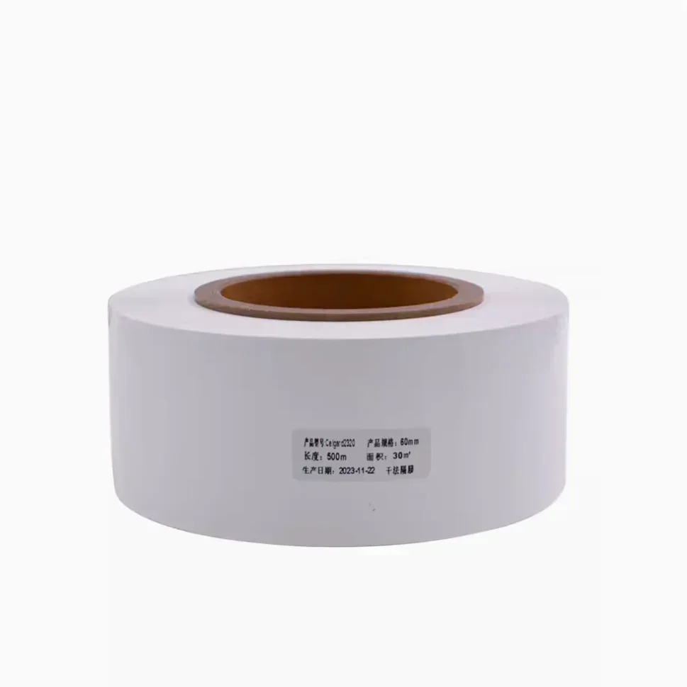 Lithium Ion Battery Separator (