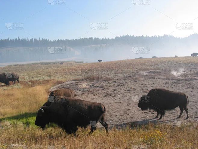 

Комплект из 4 шт. 100-мм шин для радиоуправляемых раллийных внедорожных багги 1/7 1/8 с дисками под 17-мм шестигранник для моделей ARRMA, Trxs, Redcat, Team Losi, Kyosho, HPI, WR8, HSP