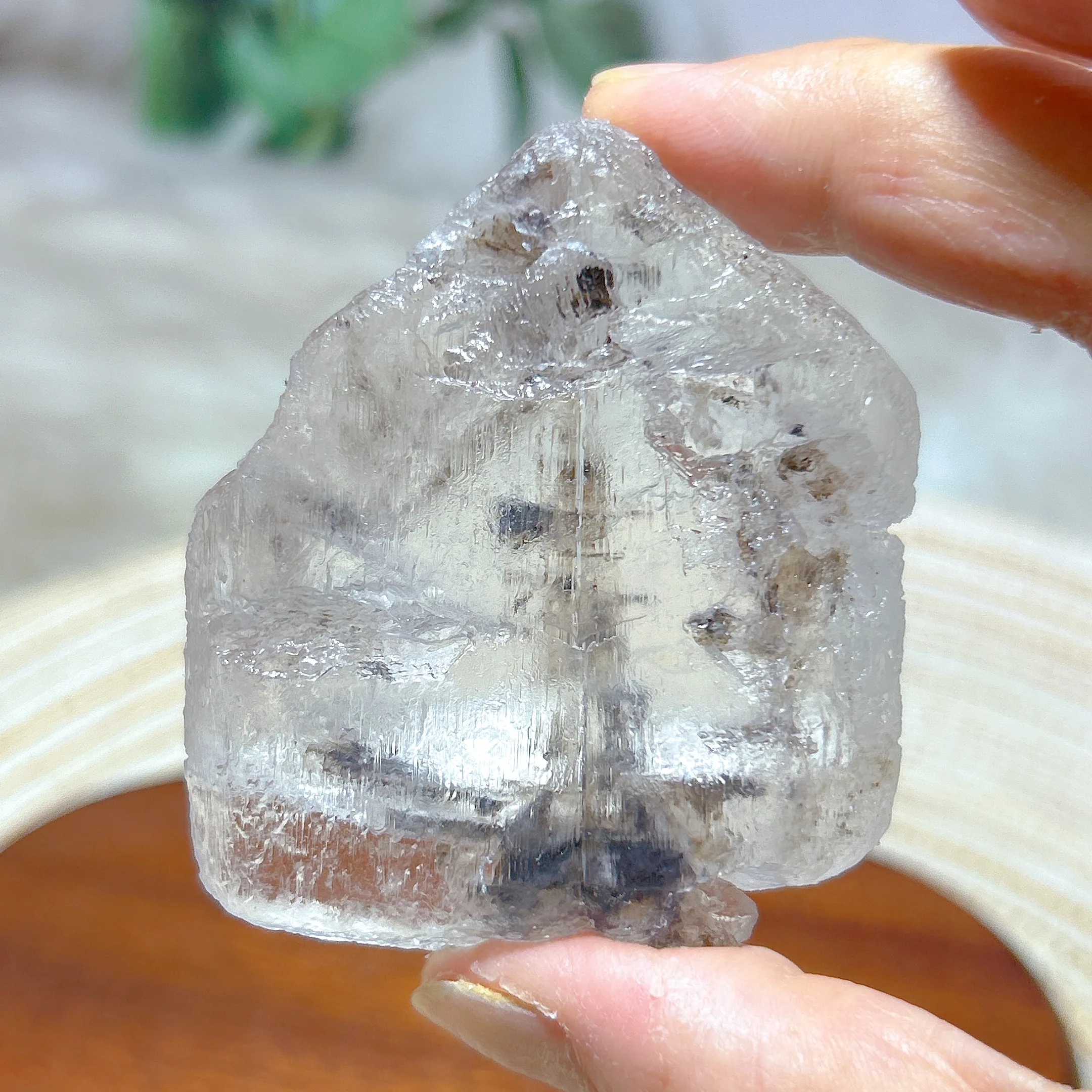 

Natural Crystals Namibia Garden Selenite Specimen Raw Ornament Healing High Quality Home Decorations Energy Mineral Ore Gift