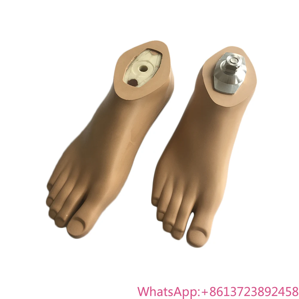 

WDF Prosthetic Feet Waterproof Foot Prosthetic Sach Foot Non-slip Feet