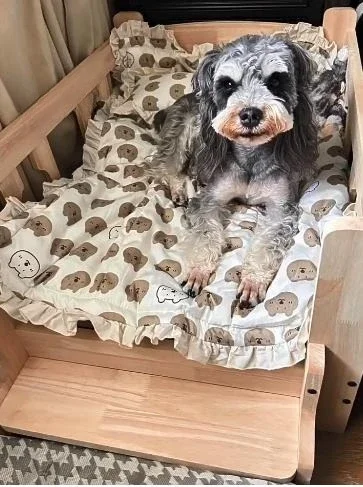 Katzen- und Hundebett, Haustierbett, Holz-Katzenhütte, Hütte vom Boden entfernt, Hundebett aus Massivholz