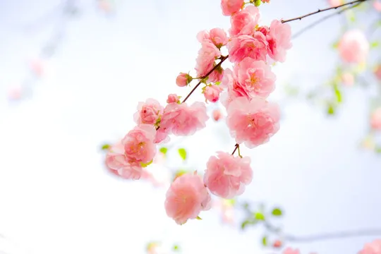 

Rc Crawler LCG Metal Gearbox Transmission With Steel Gear for 1/10 SCX10 Upgrade Parts