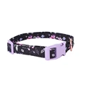 Purple Collar