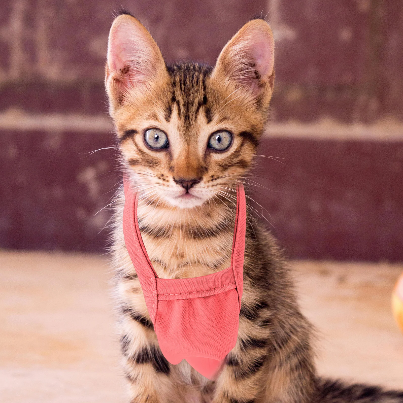

Warm Belly Bag Adorable Pet Clothes for Pets Puppy Thick Dog Accessories Sweater Vest