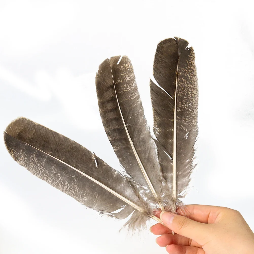 10PC Natural Retro Turkey Feathers Pheasant Crafts Feather Duster Material Supply DIY Thanksgiving Party Holiday Carnival Decor