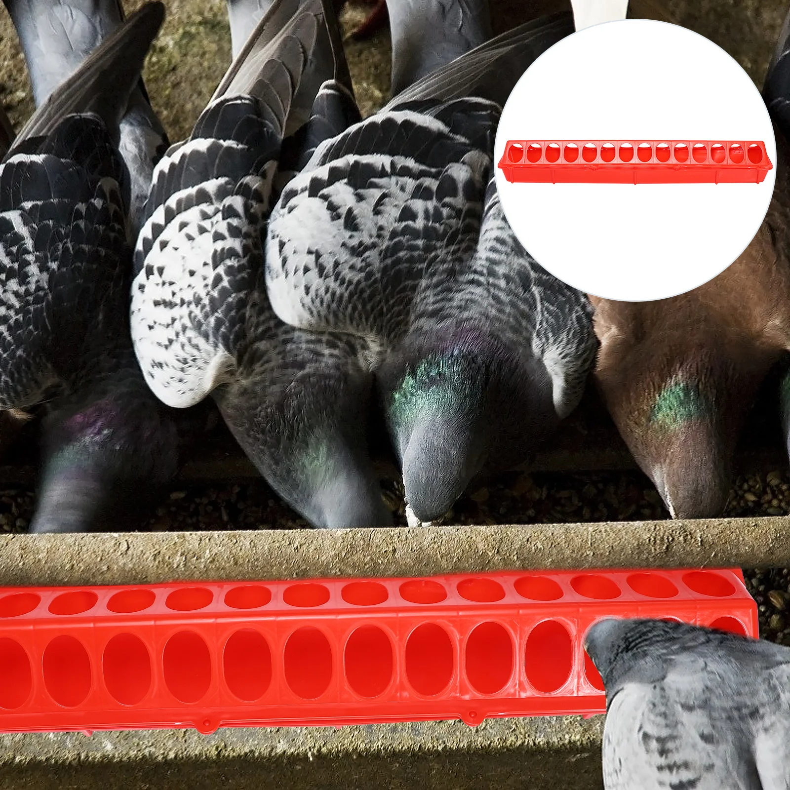 

2Pcs Poultry Feeding Troughs Long Feed Groove for Chickens Ducks Anti-Spatter Design Easy Clean Poultry Feeding Supplies