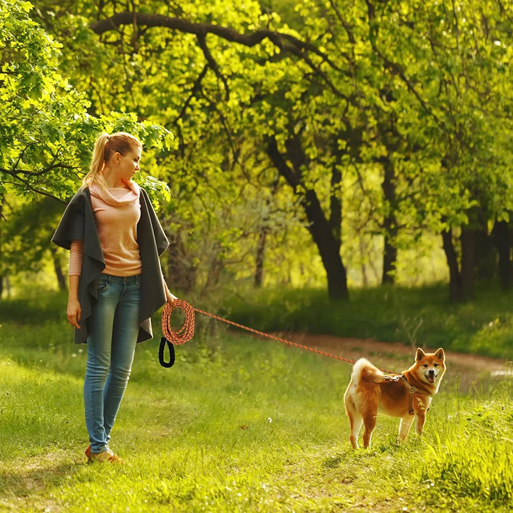 Long Dog Training Lead With Padded Handle For Walking And Training_voghion.com