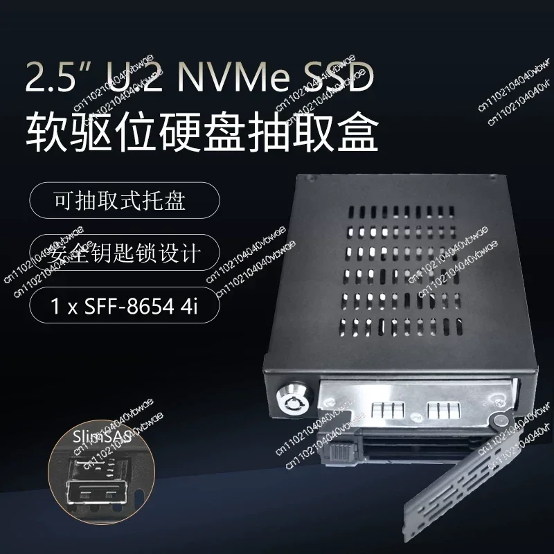 2.5-Inch U.2 NVMe PCIe4.0 SSD Hard Disk Case SFF8654 Interface