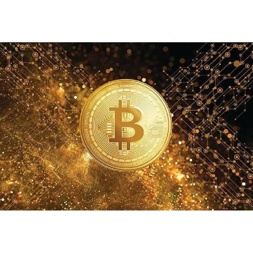 Bitcoin Commemorative Coin, Novelty Gold Plated Collectible Token, Souvenir Decorative Coin for Collection, 1 Pack