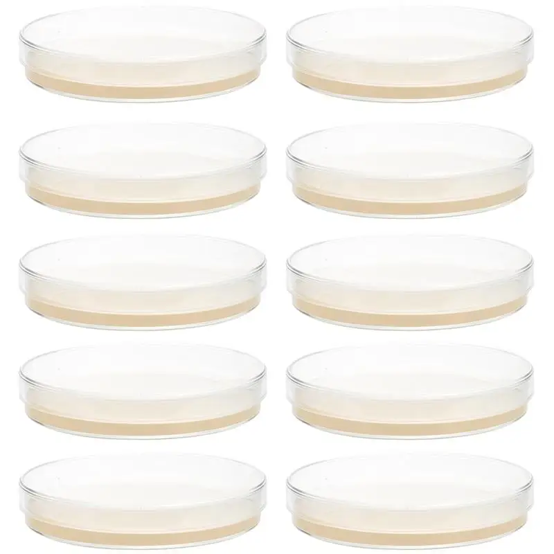 10pcs Prepoured Agar แผ่น Agar Petri จานเนื้อเยื่อวัฒนธรรมแผ่น Agar แผ่นห้องปฏิบัติการการการทดลองวิทยาศาสตร์อุปกรณ์