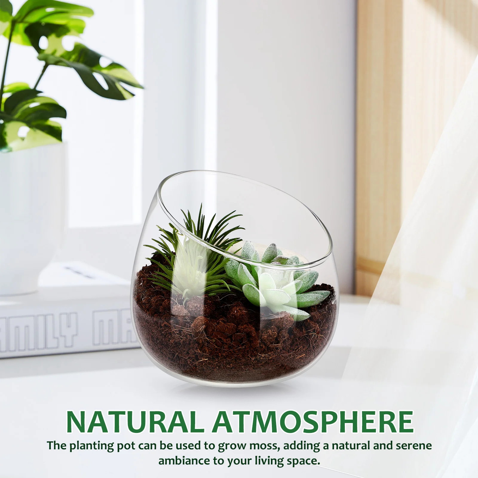 Clear Glass Vase Unique Slanted Mouth Design for Succulents Moss Plants Small Round Planter Pot Desk Bookshelf Decor Indoor