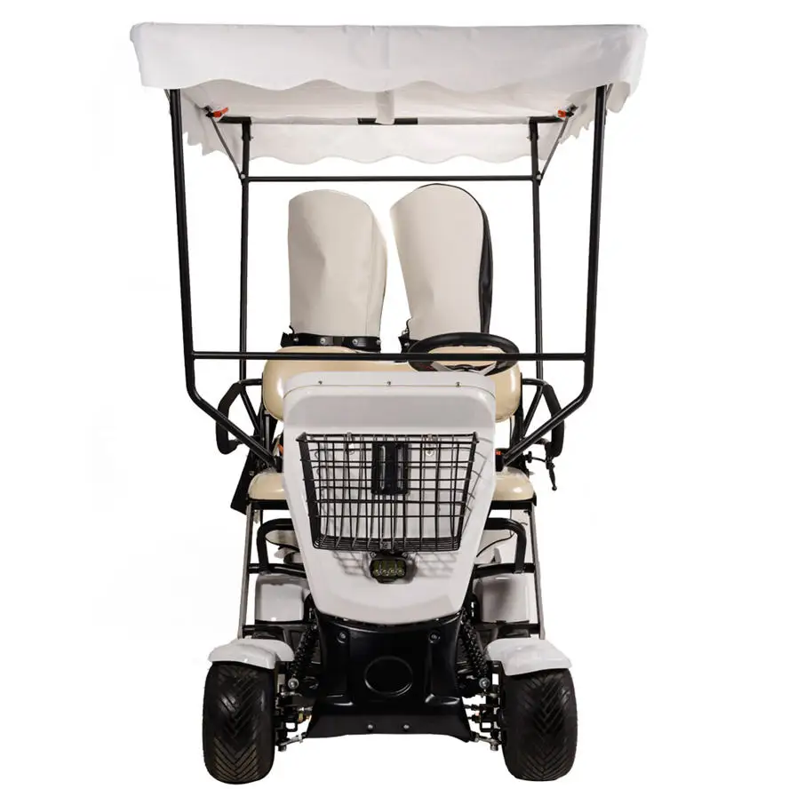 ESWING Hochwertiger elektrischer Golfwagen mit automatisch zusammenklappbarem 4-Rad-Antrieb, 2000 W, 2-Sitzer-Golfwagen