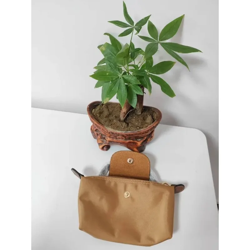 كيس A Boulettes Sans Poingonnage Avec Bandoulière Sac A Bandoulière Nouveau Y2K Bandoulière En نايلون صب T telephone Portab 2025