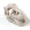 Resin Dinosaur Fossil Simulation Mini Dinosaur Ornaments Decorative Props Crafts Arts Artificial Decor for Fish Tank Aquarium