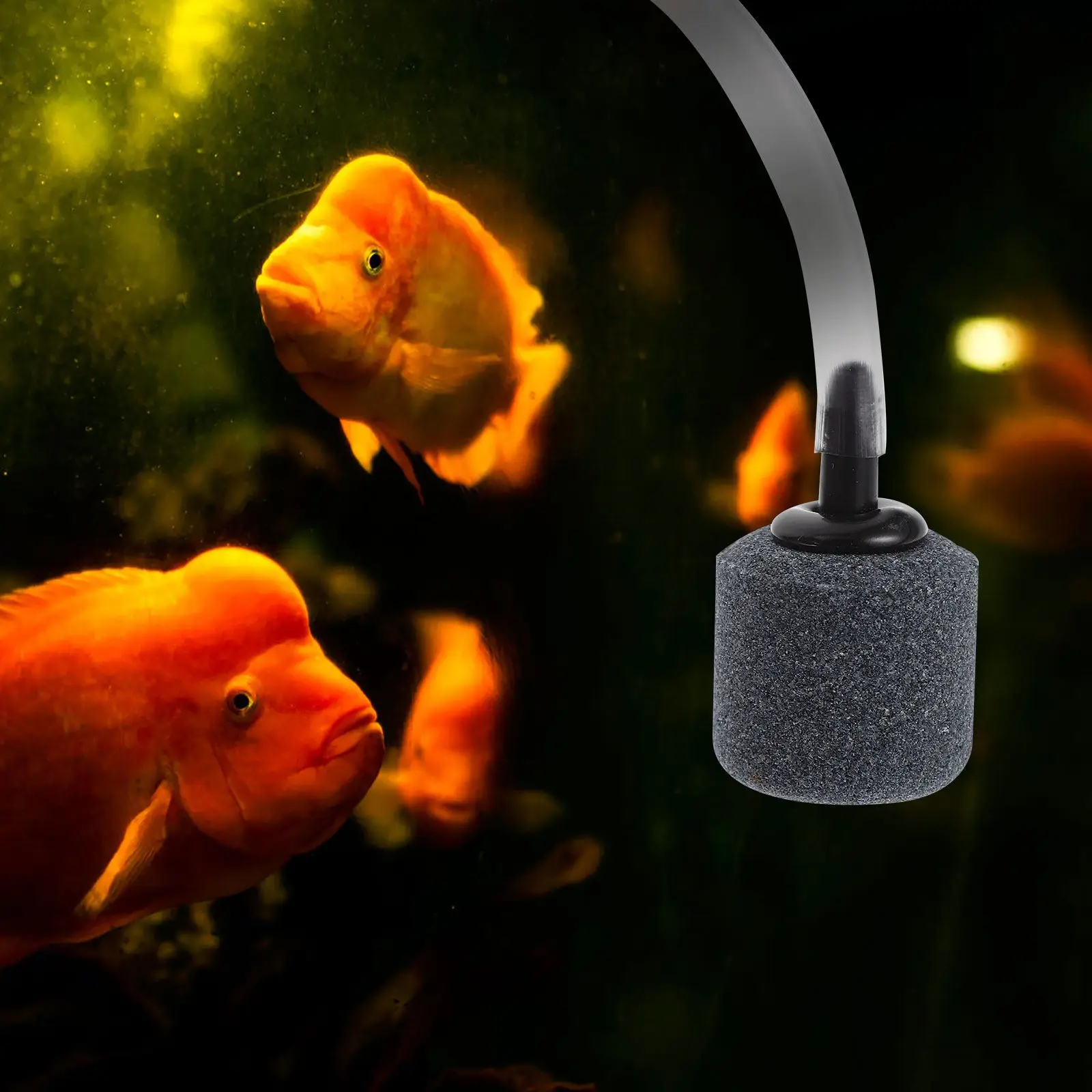 1Set USB Powered Oxygen Aerator Pump for Home Fish Tank Mini Aquarium Air Pump Outdoor Fishing Oxygenation Tool Sturdy Reliable