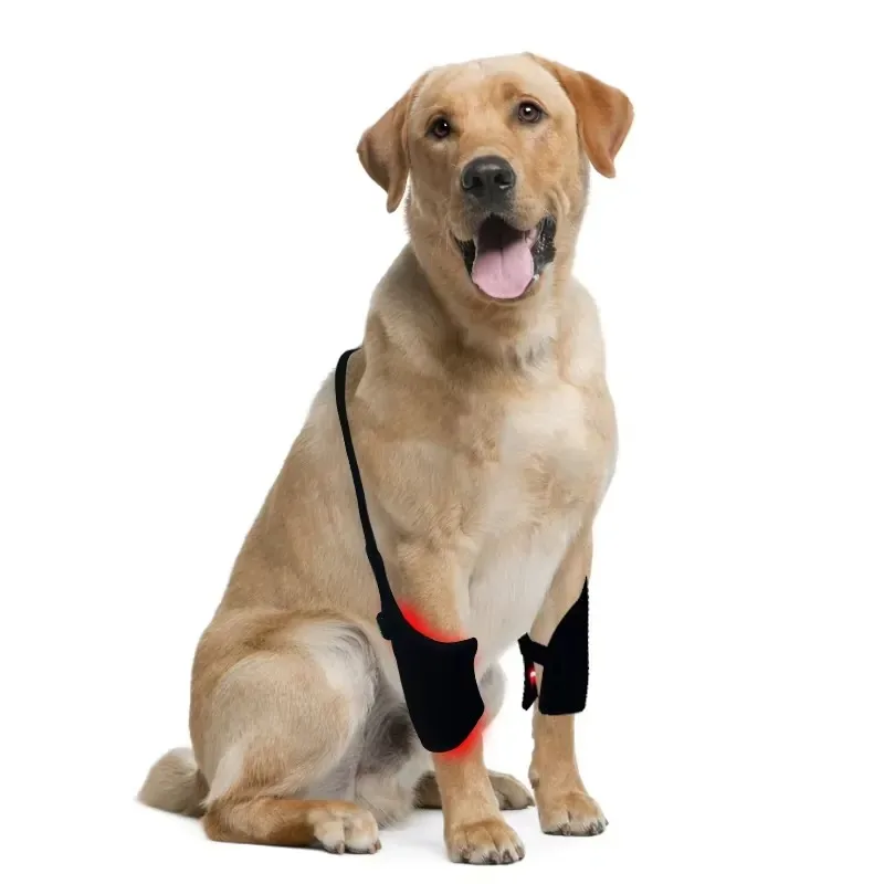 Hot Sale Veterinary Grade Red Light Therapy Device for Dogs Hindlimb at Home - Professional Pet Recovery Pad for Relieve Dog