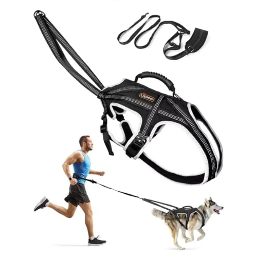 

Dog Pulling Harness Set with Waist Belt and Shock-Absorbing Leash, Adjustable Sled Harness for Running, Hiking and Biking, Medi