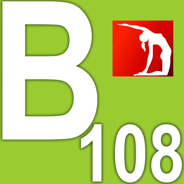 Heißer Verkauf Neueste 2025.Q2 BB108 BB108 Fitness Sport Tai Chi Yoga Pilates
