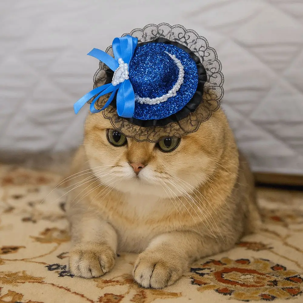 

Cute Adjustable Pet Halloween Hat British Style Sequin Cat Cosplay Hat Elastic Band Cat Lace Hat Pet Party
