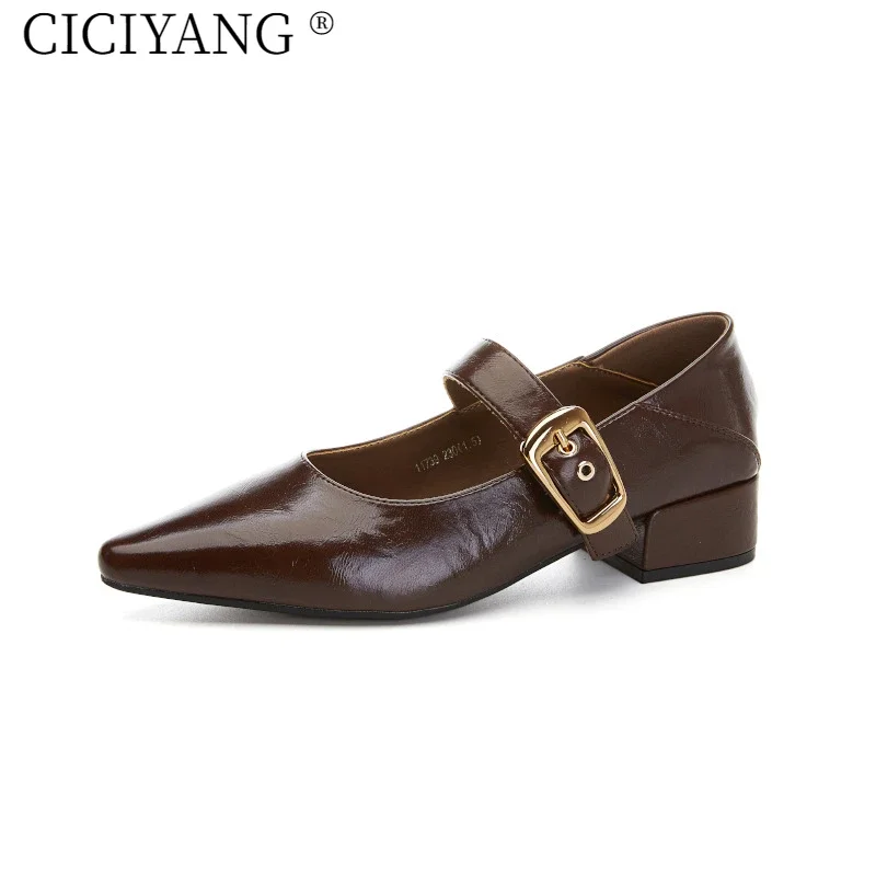 

CICIYANG 2025 Spring New Women High Heels Pointed Toe Mary Jane Female Shoes Large Size Shallow Mouth Office Leather Shoes Women