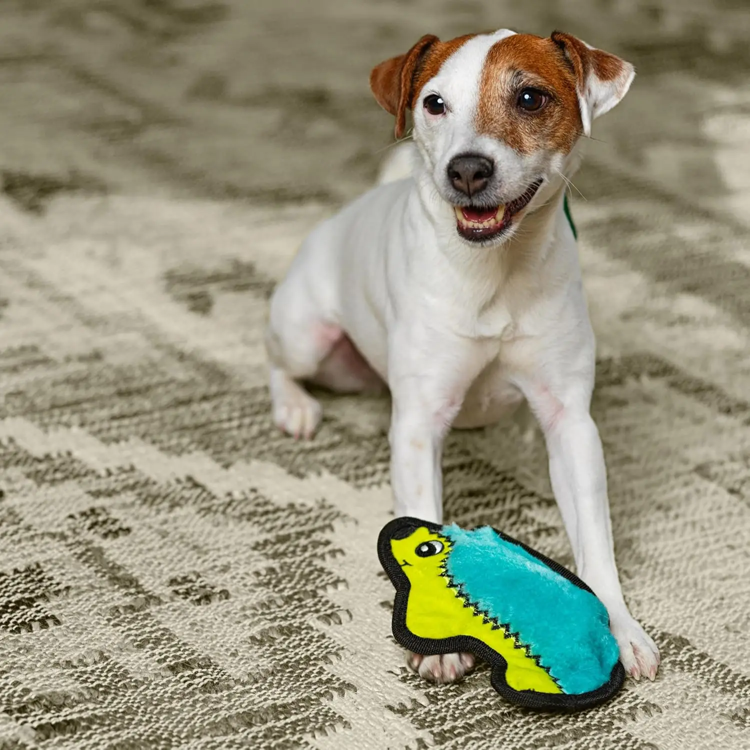 لعبة كلب قطيفة خالية من الحشو من مينيس للكلاب والكلاب الصغيرة - تفاعلية، ناعمة ولكن صعبة، بدون فوضى، مكبر صوت جامبو #4