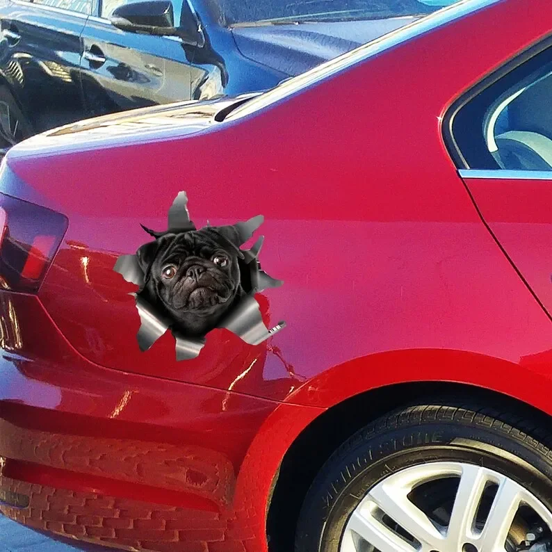 Black Pug car sticker, Black Pug decal, Black Pug magnet