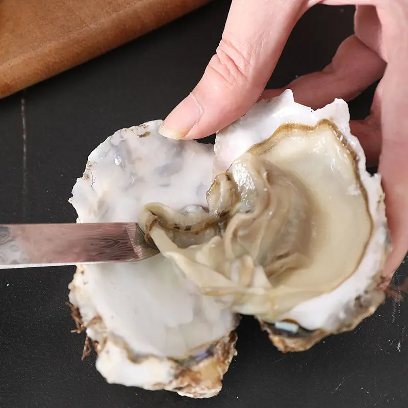 Abrecáscaras de Acero Inoxidable Práctico para Mariscos, Herramienta para Abrir Ostras y Vieiras, Utensilios de Cocina para Mariscos