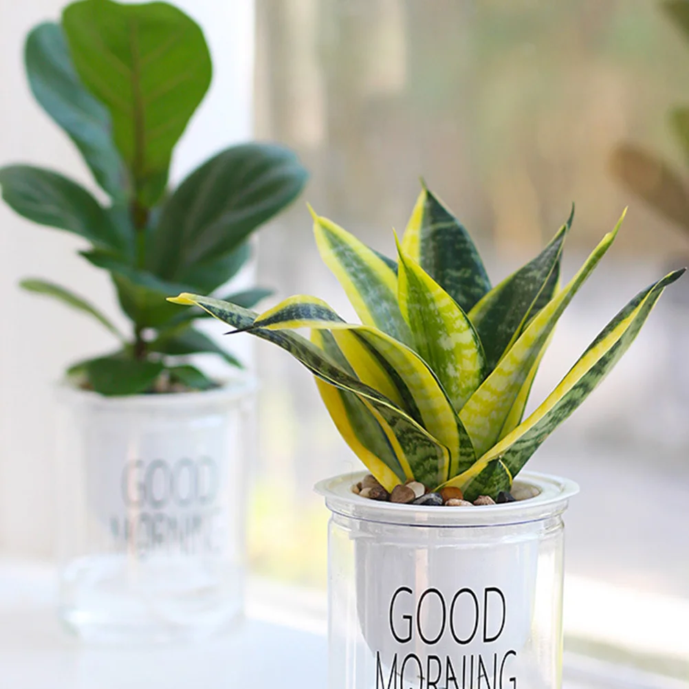 

2pcs Straight Cylinder Flower Pot Transparent Self-Watering Plastic Planter Cotton Rope For Succulents Herbs Indoor Plants Water