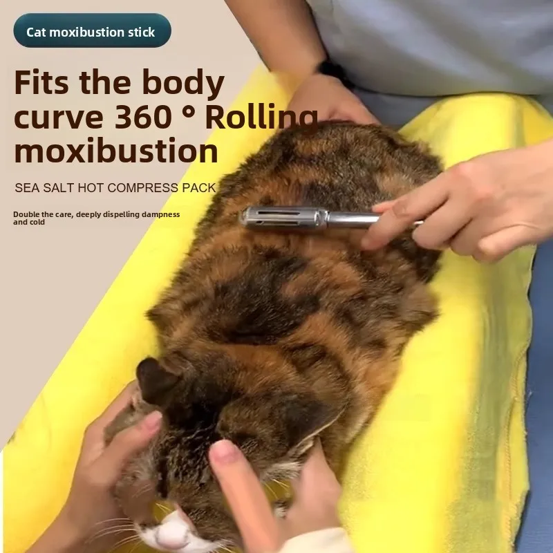 Pet  Moxibustion Sti Traditional Chinese Medicine Digestive Soft Stool Urinary System Health Care Pet Supplies for s