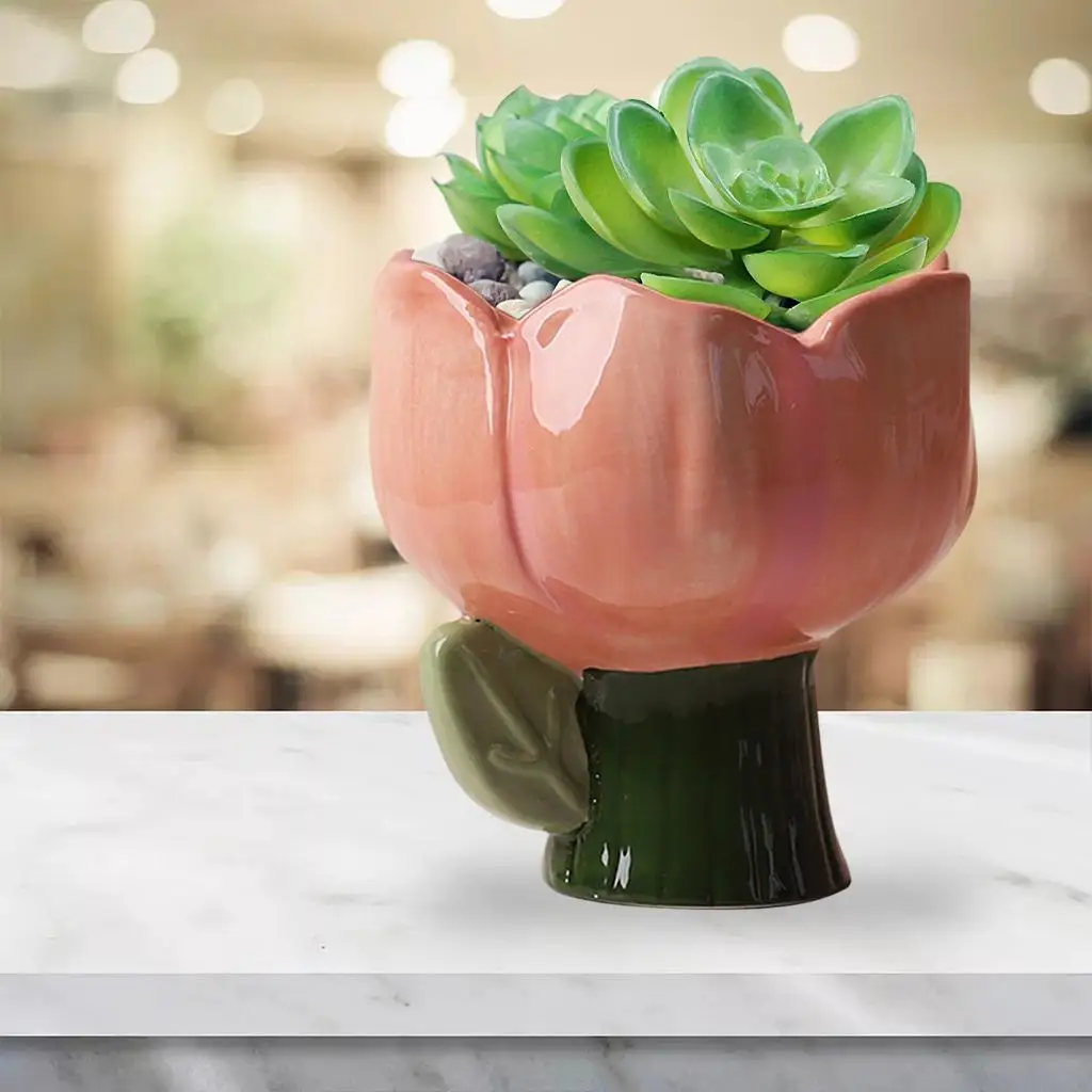 Cartoon Succulent Pot Herbs Decoration Cactus for Indoor Office